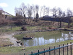 Blick über den Teich zum Alten Jüdischen Friedhof