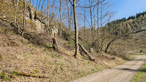 Zwischen dem Heiligenhäuschen des Laurentius und der Mariengrotte liegt kurz vor Erreichen der Talsohle auf der linken Seite das Naturdenkmal Felsklippen am Mittelberg.