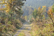 Der Weg führt über die Höhen und durch das Orketal rund um Elkeringhausen