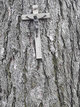 Ein kleines „Jesus Kreuz“ an einem Baum.