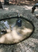Artesischer Brunnen auf dem großen Sandspielplatz