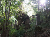 Etwas versteckt und sehr mit Grün  bewachsen geht es entlang dem Judenfriedhof der zwischen dem 17. und 19. Jahrhundert belegt wurde, weiter Richtung Wasserturm.
