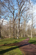 Der Baumpark ist geprägt durch zahlreiche exotische Baumriesen.
